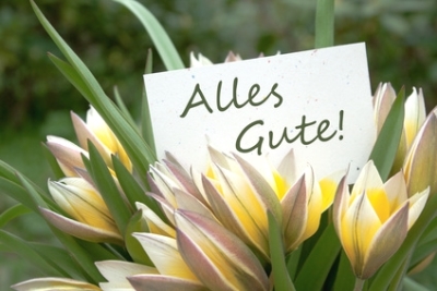 Blumen Zum Geburtstag Verschicken Geburtstagsblumen Und Geschenke Per Versand Blumenstrauss Zum Geburtstag Online Versenden